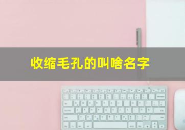 收缩毛孔的叫啥名字