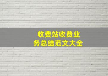 收费站收费业务总结范文大全