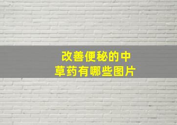 改善便秘的中草药有哪些图片