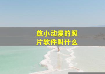 放小动漫的照片软件叫什么