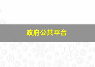 政府公共平台