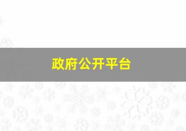 政府公开平台