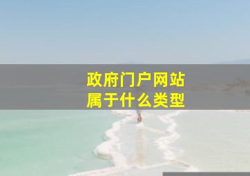 政府门户网站属于什么类型