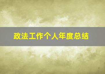 政法工作个人年度总结