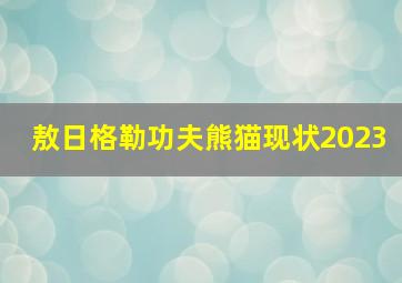 敖日格勒功夫熊猫现状2023