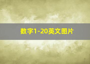 数字1-20英文图片