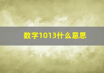 数字1013什么意思