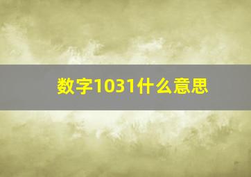 数字1031什么意思