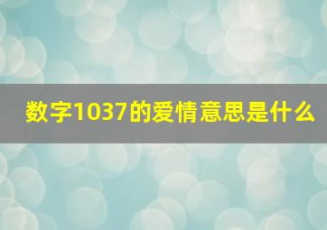 数字1037的爱情意思是什么