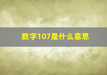 数字107是什么意思