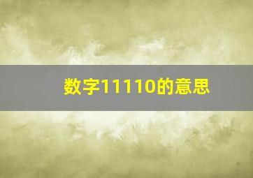 数字11110的意思