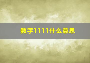 数字1111什么意思