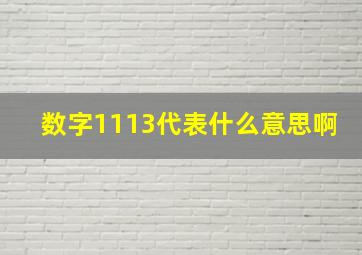 数字1113代表什么意思啊