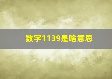 数字1139是啥意思