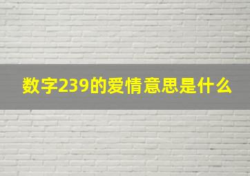 数字239的爱情意思是什么