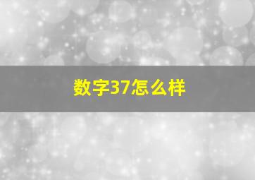 数字37怎么样