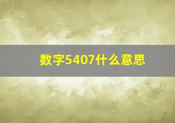 数字5407什么意思