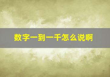 数字一到一千怎么说啊