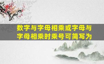 数字与字母相乘或字母与字母相乘时乘号可简写为