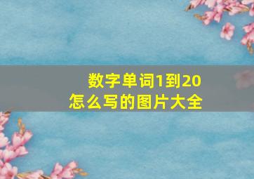 数字单词1到20怎么写的图片大全