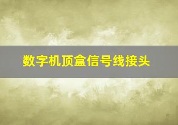 数字机顶盒信号线接头