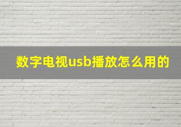 数字电视usb播放怎么用的