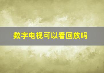 数字电视可以看回放吗