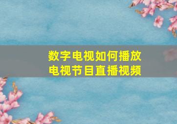 数字电视如何播放电视节目直播视频