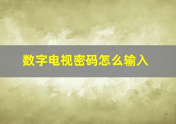 数字电视密码怎么输入