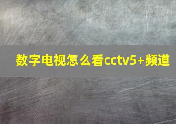 数字电视怎么看cctv5+频道