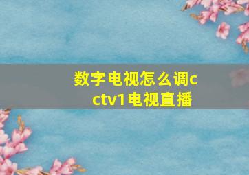 数字电视怎么调cctv1电视直播