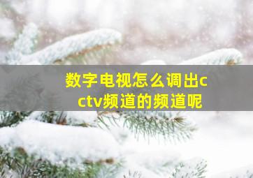 数字电视怎么调出cctv频道的频道呢