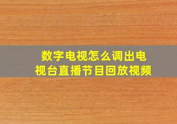 数字电视怎么调出电视台直播节目回放视频