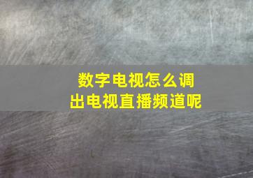 数字电视怎么调出电视直播频道呢