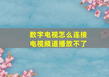 数字电视怎么连接电视频道播放不了