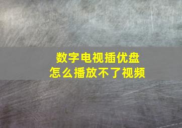 数字电视插优盘怎么播放不了视频