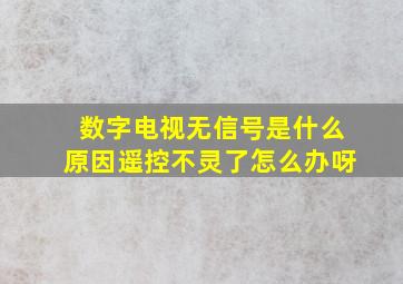 数字电视无信号是什么原因遥控不灵了怎么办呀