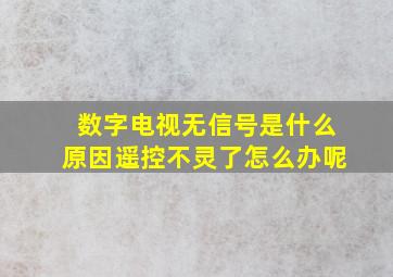 数字电视无信号是什么原因遥控不灵了怎么办呢