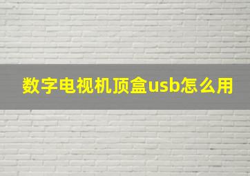 数字电视机顶盒usb怎么用