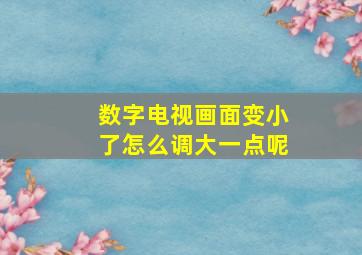 数字电视画面变小了怎么调大一点呢