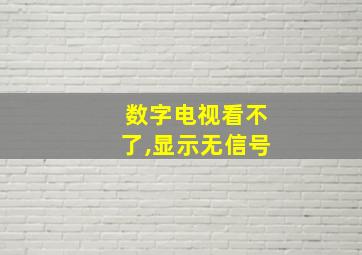 数字电视看不了,显示无信号