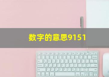 数字的意思9151