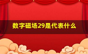 数字磁场29是代表什么