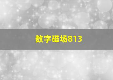 数字磁场813