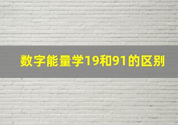 数字能量学19和91的区别