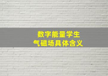 数字能量学生气磁场具体含义