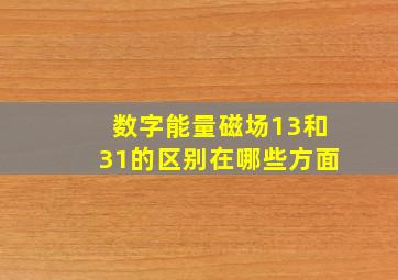 数字能量磁场13和31的区别在哪些方面