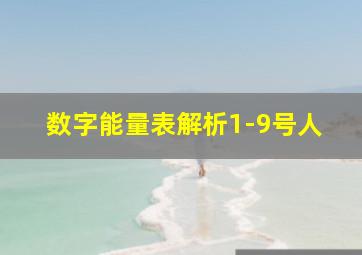 数字能量表解析1-9号人