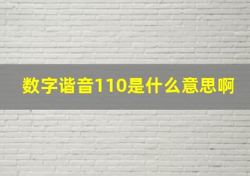 数字谐音110是什么意思啊