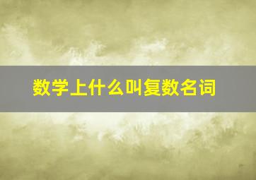 数学上什么叫复数名词